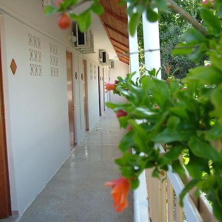 George'S Apartment Agia Marina  Rum bild