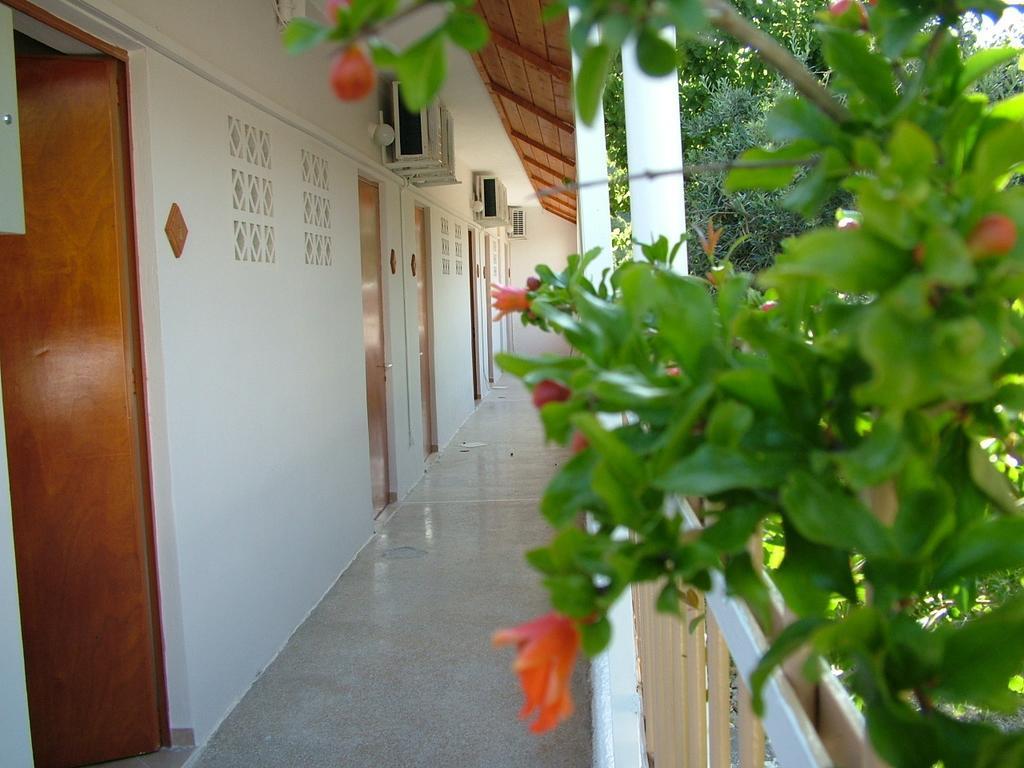 George'S Apartment Agia Marina  Rum bild