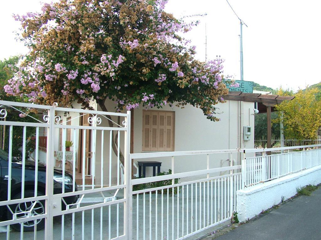 George'S Apartment Agia Marina  Rum bild