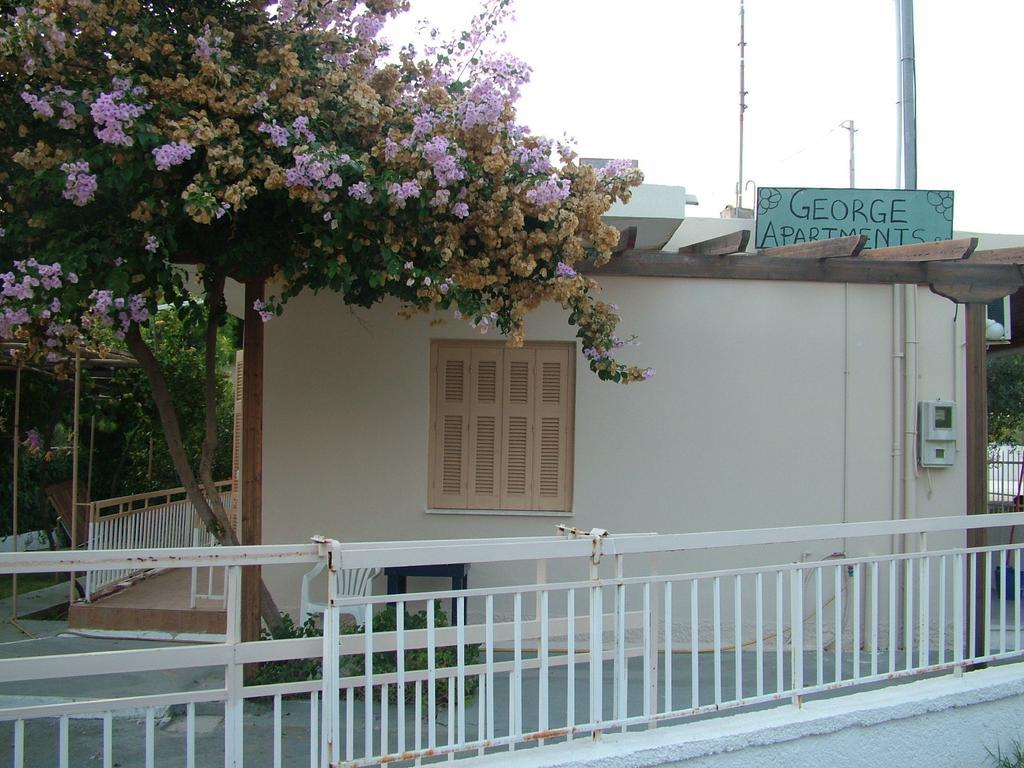 George'S Apartment Agia Marina  Rum bild